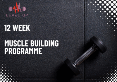 12-Week Muscle Builder (4 Day)