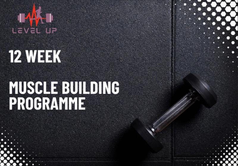 12-Week Muscle Builder (4 Day)